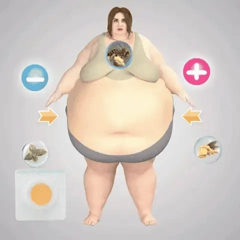 BBOJI™ GLP-1 Patches – Fast Results for a Slimmer, Healthier You